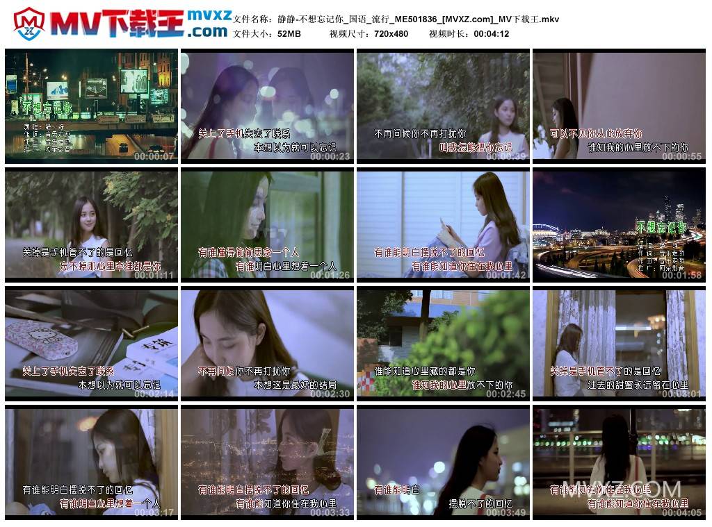静静-不想忘记你_国语_流行_ME501836